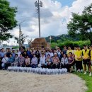 소나무숲아래 이미지