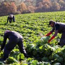 대성식자재마트 이미지