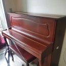 한성목화 이미지