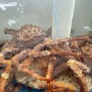 주정차 단속 - 043 이미지