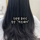 아보헤어