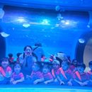 대방엘리트어린이집 이미지