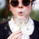 맹자에게 배우는 진심 이미지