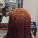 김찬헤어 이미지