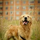 아이펫동물병원 이미지