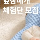 푸키포키