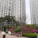 평촌더샵센트럴 이미지