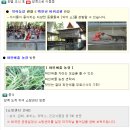 이은석농장 | 친구끼리 떠나자~ 태국!!! (레드캡투어)