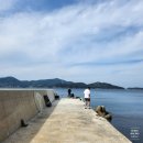 동항790 | [통영 욕지도 여행] 대송방파제/벵에돔낚시/해녀김금단포장마차(고등어회)/카페 동항790/욕지도치킨피자