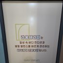 테라피흐름