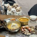 신명유치원 | 파주 헤이리마을 애견동반 바베큐 퍼피힐, 애견운동장 카페 후기