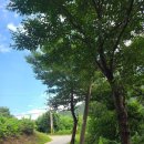 소리산황토밸리 이미지