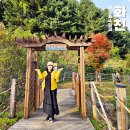 GS25 화천춘화로 | 강원도 화천 가볼만한곳 백암산 케이블카 파로호 수달길 거례리 사랑나무 외 7곳