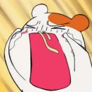 한솔학문외과의원 네이버블로그