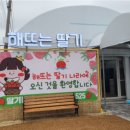 꿈나무마을어린이집 이미지