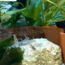 우진아쿠아 이미지