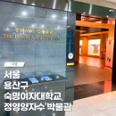 숙명여자대학교 정영양자수박물관 | 숙명여자대학교 정영양자수박물관 주차 입장료 용산구 가볼만한 곳