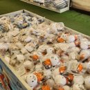 현대아울렛 이미지