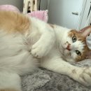 여수동물병원 이미지