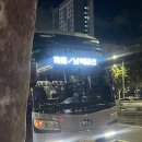 등산버스 예약 페플 급 산행지 변경으로 불갑산 상사화 개화현황