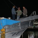 동해-단속-39 이미지