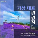 10/13(일)거창 창포원,수승대, 감악산 아스타 국화 꽃, 별 여행 떠나요~신청 이미지