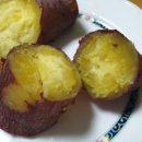 꿀밤농장 이미지