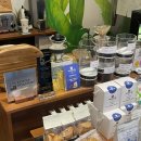 커피블루아울(Coffee Blue Owl) | [Stronghold 서포터즈 크래커 10기] Coffee Blue Owl