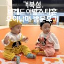 하이케어시화점 | 시흥 거북섬 브레드이발소타운 내돈내산 방문후기