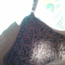 (주)밀레펫 이미지