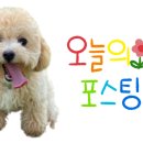 타타스 수원대점