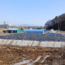 해망산농장 네이버블로그
