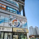 만타스시31감계점