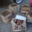 삼정회계법인 이미지