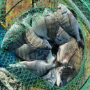 도원관광펜션 이미지