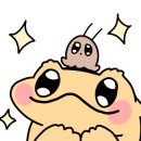 알줍 이미지