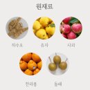 버들 BUDDLE | 버들 하수오 갱년기 몸에좋은 차 티백 효능 선물 추천