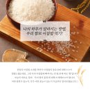 밥심 이미지
