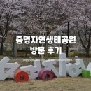 연일공원 입구 | 포항 중명자연생태공원 방문 후기 - 자연 속 봄 향기, 벚꽃 산책