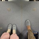 드림컴포트 | 스위스 여행 KLM 네덜란드 항공 :: 프리미엄 컴포트 후기❤ (좌석 비교, 장단점) + 10%할인 코드 공유✨