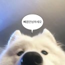 씨유 익산모현스타점 | 10월 내내 다정달(๑′ᴗ‵๑)Lᵒᵛᵉᵧₒᵤ♥