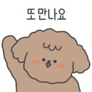 댕댕이발소 이미지