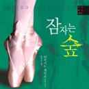 가가상사