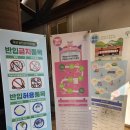 구 심청축제장제방 | 2024년 곡성세계장미축제 기차마을에 관한 모든정보! (입장료, 주차장, 공연, 먹거리 등)