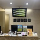 탑실외골프연습장 | 대전 실외골프연습장(인도어) 한미르대덕CC 실외골프연습장 | 탑트레이서 레인지, 스윙분석기