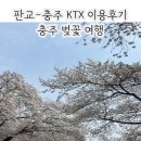 봉계10길 9, (봉방동) | 판교 KTX 이음 / 판교 KTX 타고 충주댐 하방마을 벚꽃구경하고 온 후기 - 판교 KTX 시간표 &amp; 타는 방법