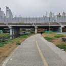 달서천변 이미지