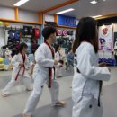 동탄 경희대 태권도장 이미지