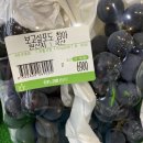 SPACE B&B(스페이스비앤비) | 보고싶어도 참아