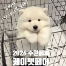 K(케이)모터스 | 2026 케이펫페어 수원메쎄 시즌1